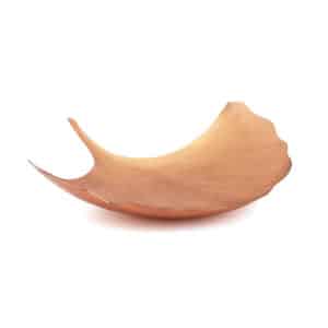 Ginkgo Leaf Platter - Large