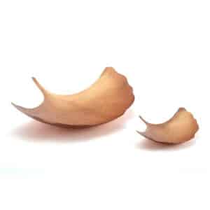 Ginkgo Leaf Platter - set of two