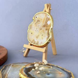 Golden Coasters – 8