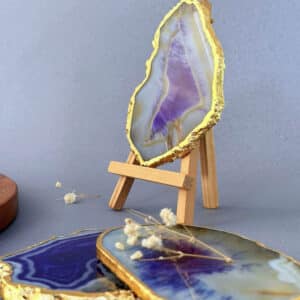 Golden Coasters – 6